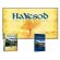 HaYesod Digital Pack with Student Workbook and Program DVDs